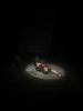 «استرالیا» به تماشاخانه استاد لایق رسید 3