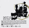 تئاتر « فعل» به کارگردانی رعنا شبانکاره در شیراز به روی صحنه رفت 2