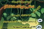 اجرای نمایش «ننه نقلی و حیوانات ماداگاسکار» در کازرون 2