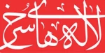 میشو سوزوکی 