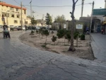 تئاتر شهر شیراز را نجات دهید 2