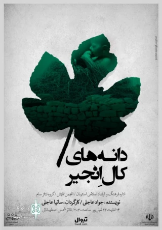 دانه‌های کال انجیر در استهبان به روی صحنه رفت