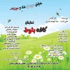 نگاهی به فعالیت های نمایشی در شهرستان کوار 2