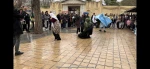 نمایش پرفورمنس «درخت دلشکسته» در شیراز  4