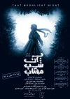 نمایش عروسکی «آن شب مهتاب»  در شیراز به روی صحنه رفت 2