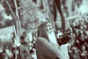 حیدرپور نسل پنجم تعزیه را تنها گذاشت